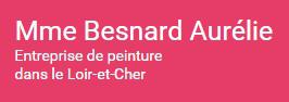 Besnard Aurélie, Professionnel de la peinture en France