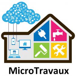 Microtravaux, Professionnel de la peinture en France