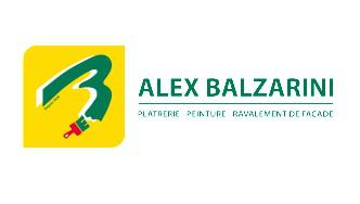 Alex Balzarini, Professionnel de la peinture en France